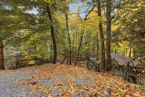 Immagine non classificata, 2 di 65, pulsante