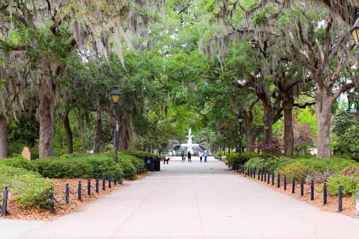 A park pathway lined with trees and a central fountain.