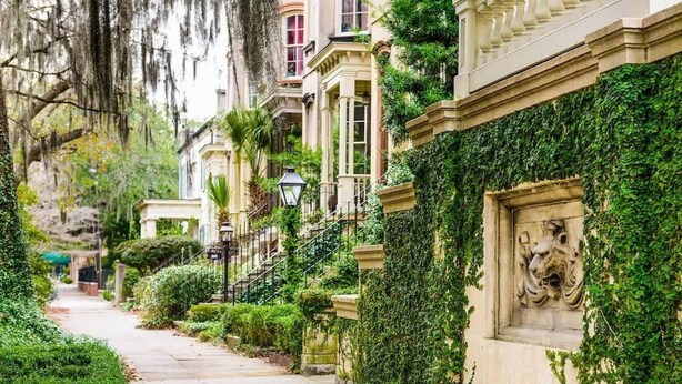 A tree-lined pathway leading to a building with a stone lion sculpture, a wrought iron staircase, and a well-maintained hedge. - Stylish Savannah Condo Steps to Forsyth Park (Savannah)