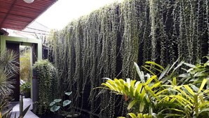 Un giardino con elemento d'acqua, diverse piante e un muro ricoperto di edera.