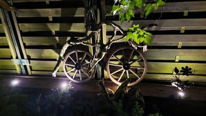 A bicycle with a large wooden wheel attached to a wooden structure, surrounded by greenery and flowers. - Apartment mit Terrasse und Großen Garten (Irrel)