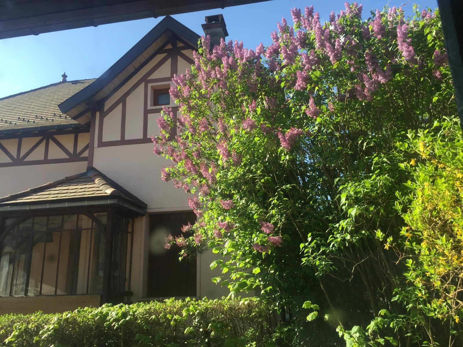 A traditional half-timbered house with a large tree in front.