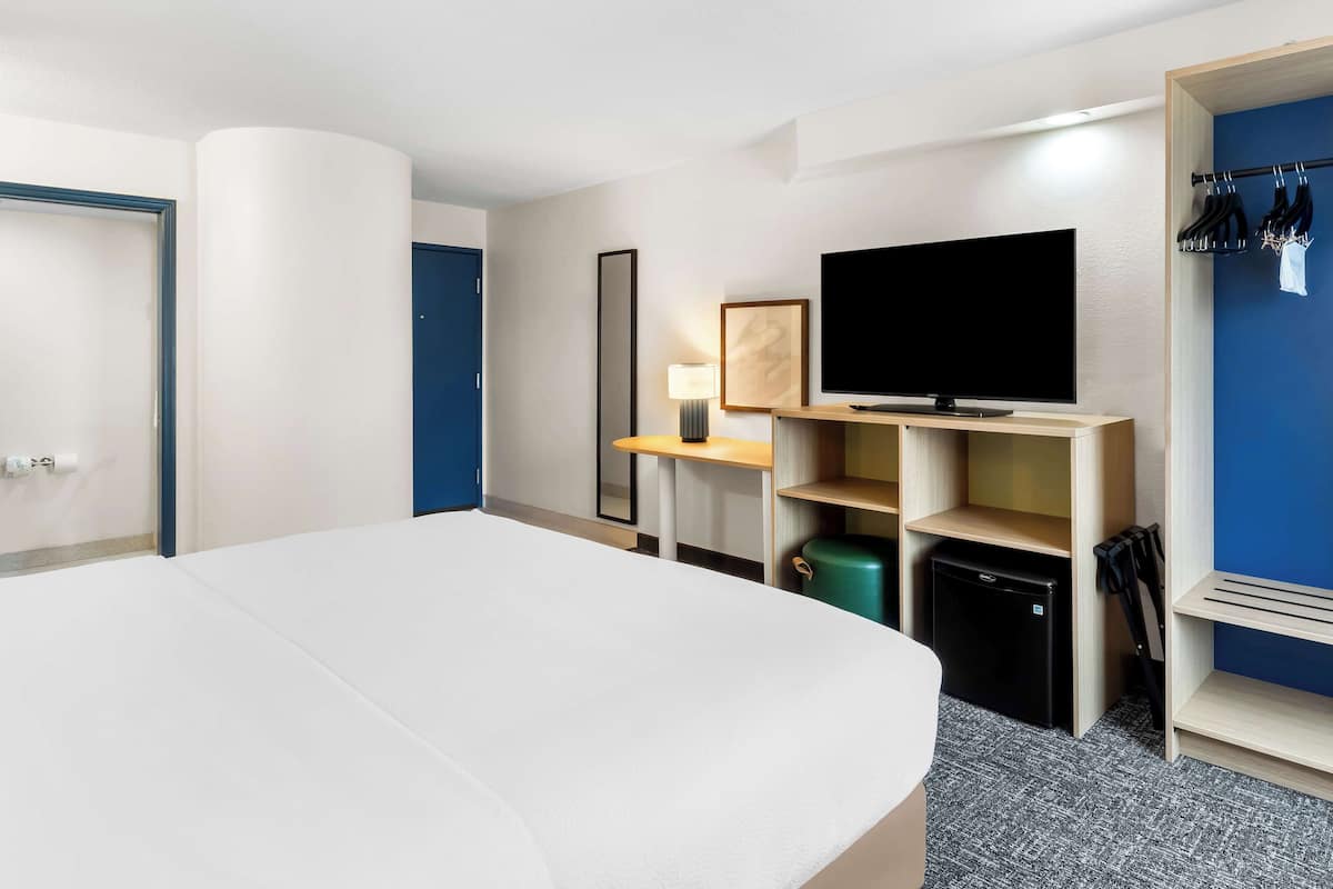 Una habitación de hotel con cama, televisión, escritorio, espejo y armario.