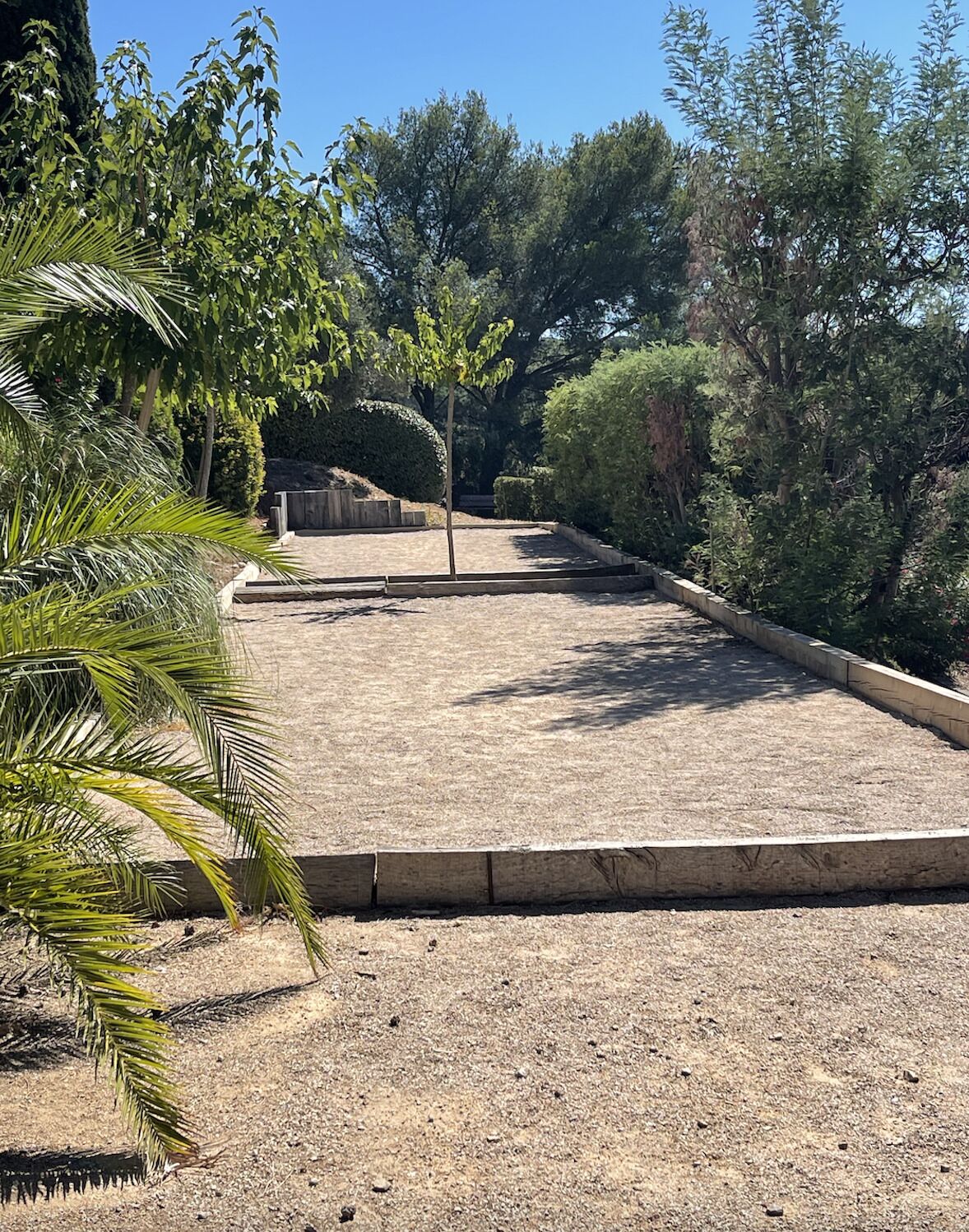 A dry, gravel-covered area with a wooden fence and a small tree.