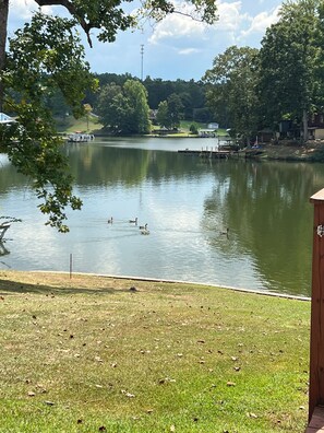 Property grounds - Lake Greenwood Home -- Come refresh in a quiet cove!  (Greenwood)