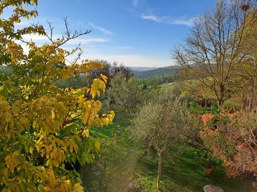 Anna's Chianti house 20 minutes from Florence