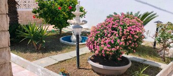 Detached villa 100 meters from the sea