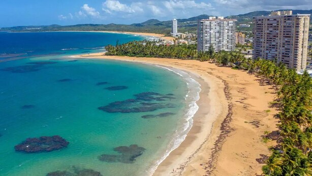 Uma área costeira com praia, águas turquesa cristalinas e uma fileira de palmeiras.