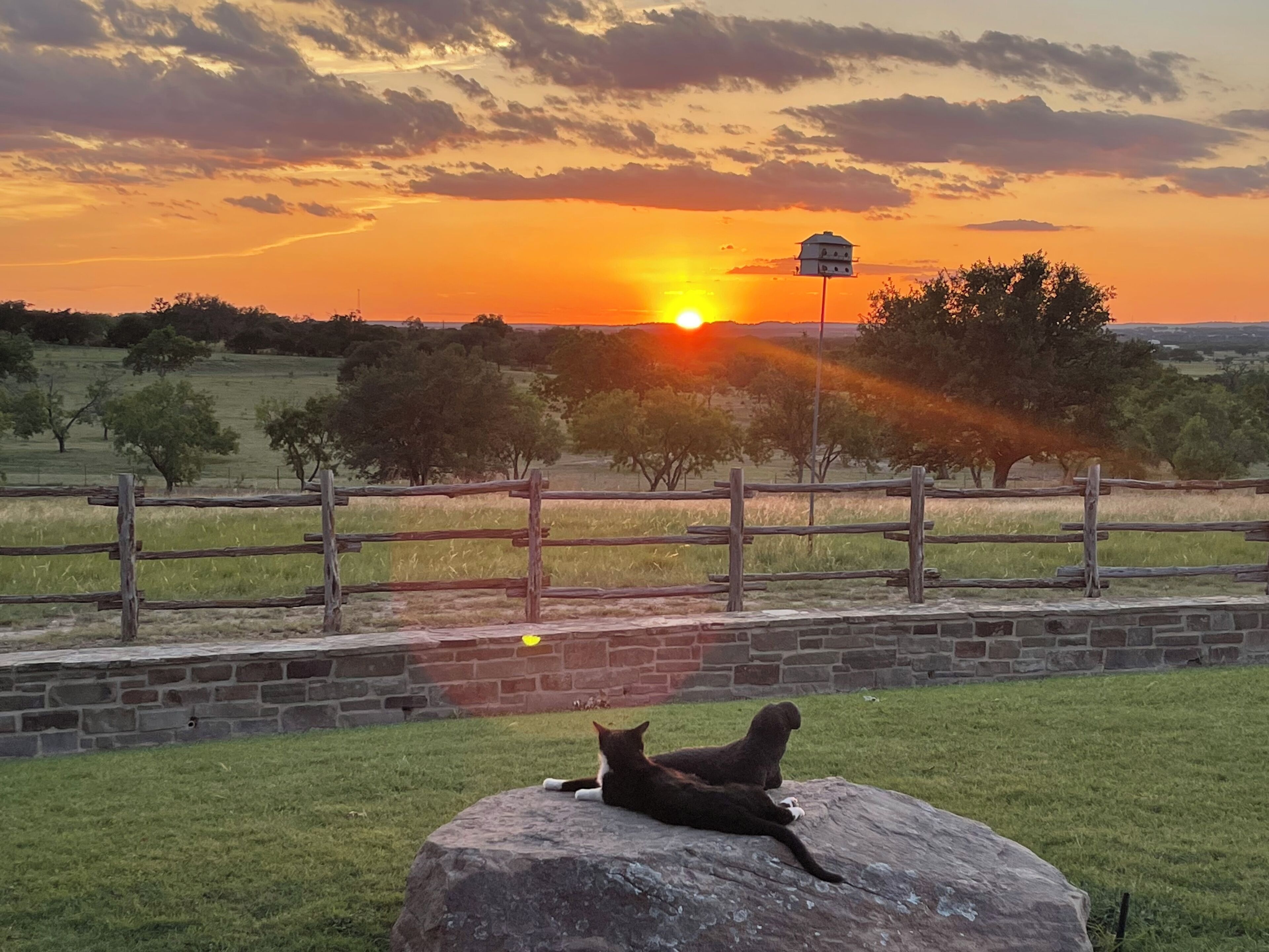 Áreas de la propiedad