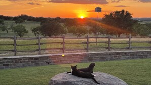 A sunset over a rural landscape with a stone wall, a wooden fence, and a cat on a rock. - The Ranch@Fredericksburg - The Blue Bonnet - 2BD/2BA (Fredericksburg)