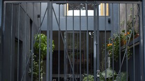 A gated entrance with a metal gate, potted plants, and a building with the number 38. - Apartments Art Tanat (Mexico City)
