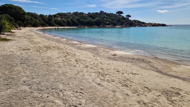 Una playa con agua cristalina, orilla de arena y una colina arbolada al fondo.