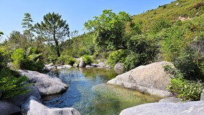 Eine natürliche Landschaft mit einem klaren Bach, umgeben von Felsen und Grünpflanzen.