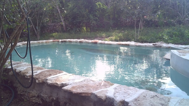 A swimming pool with a stone edge, surrounded by greenery and trees. - Casa de Toj2 (Chicxulub Pueblo)