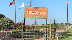 Ein Schild mit der Aufschrift 'Wildseed Farms is my happy place', im Hintergrund eine Flagge von Texas und eine amerikanische Flagge.