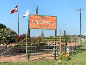 Property grounds - The Ranch@Fredericksburg - Carriage House - 1BD/1BA (Fredericksburg)