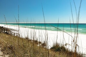 A beach with white sand and tall grasses in the foreground.