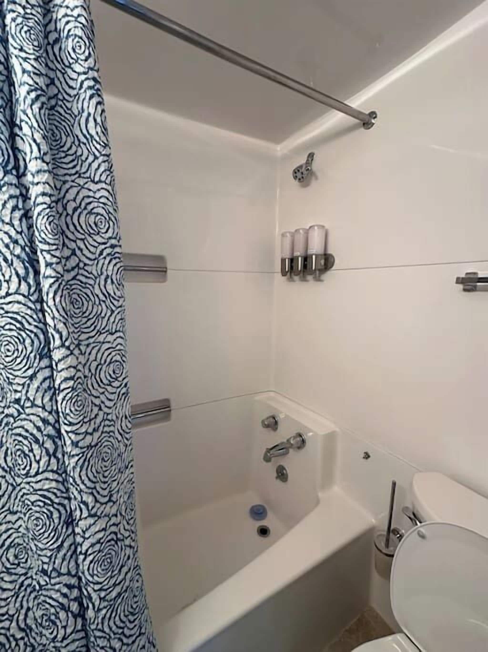 Hiustenkuivaaja, pyyhkeet, saippua, sampoo