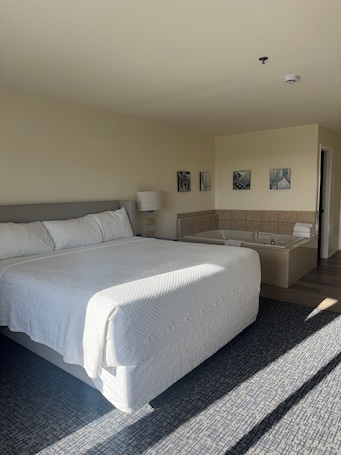 Premium Single Room, 1 King Bed, Jetted Tub | Desk, iron/ironing board, free WiFi, bed sheets