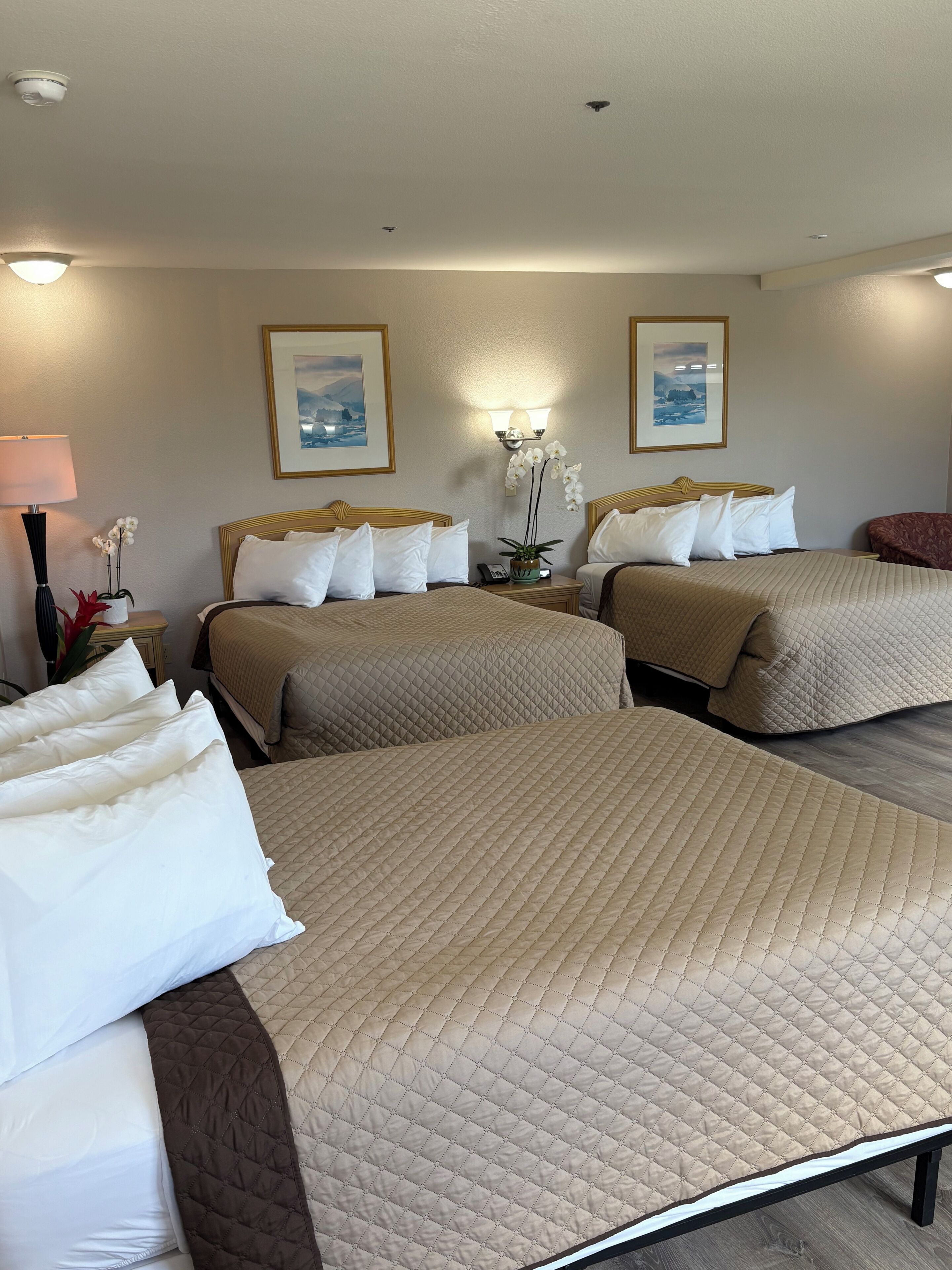 Superior Suite, Multiple Beds, Annex Building | Desk, iron/ironing board (on request), WiFi (free), bed sheets