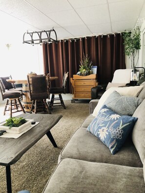 Smart TV, fireplace, books