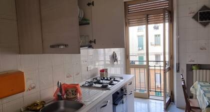 The Window to the Courtyard