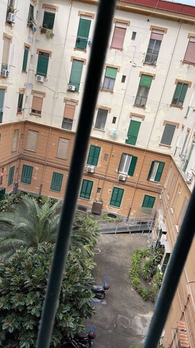 The Window to the Courtyard