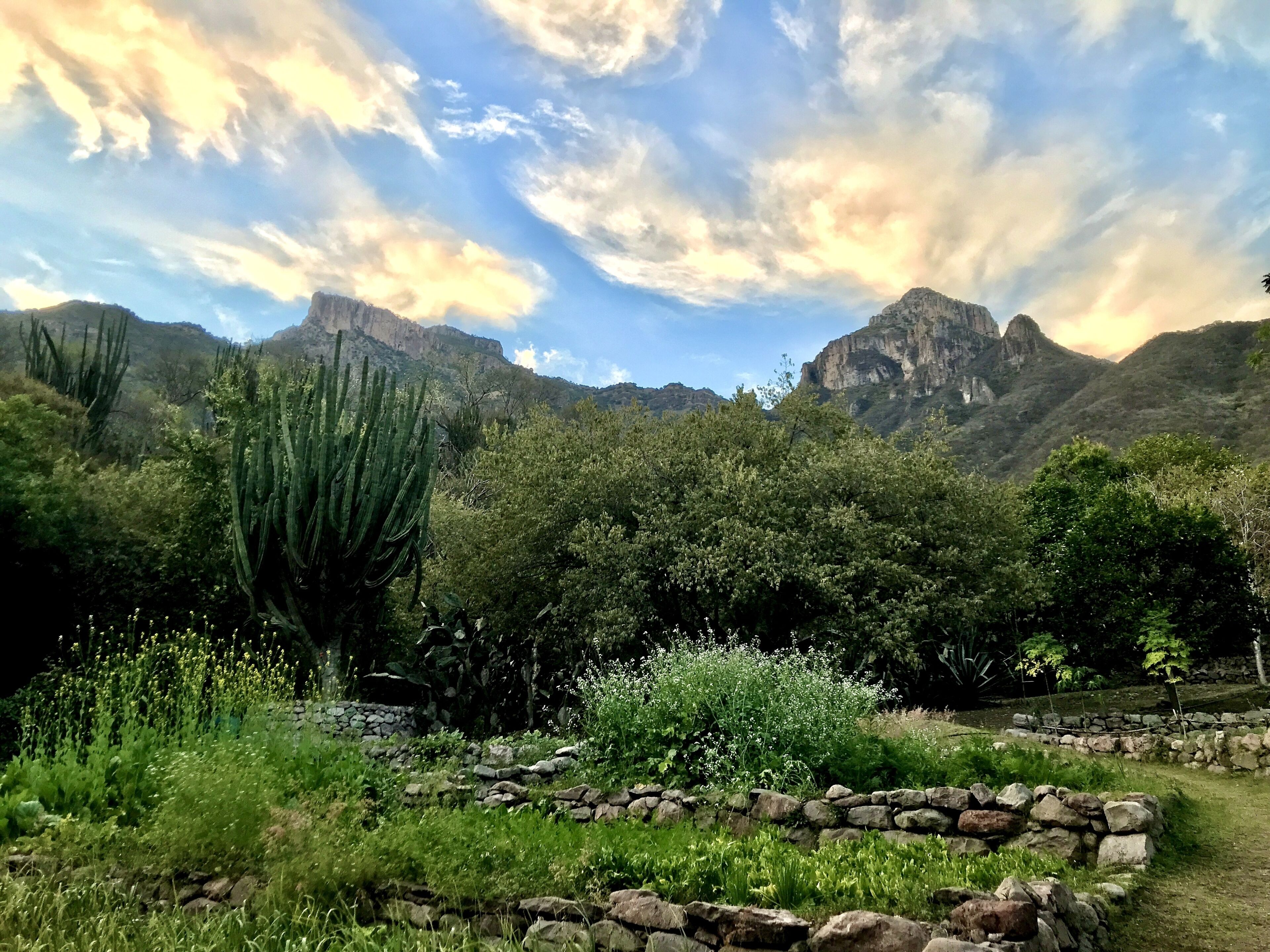 Un paysage naturel avec un mur de pierres, des cactus et une chaîne de montagnes en arrière-plan.