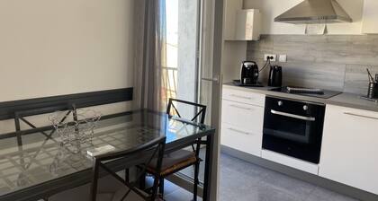 Superbe appartement climatisé centre ville avec grand balcon .