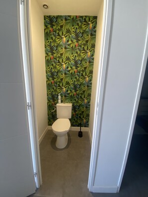 Douche, séchoir à cheveux, serviettes fournies, papier de toilette