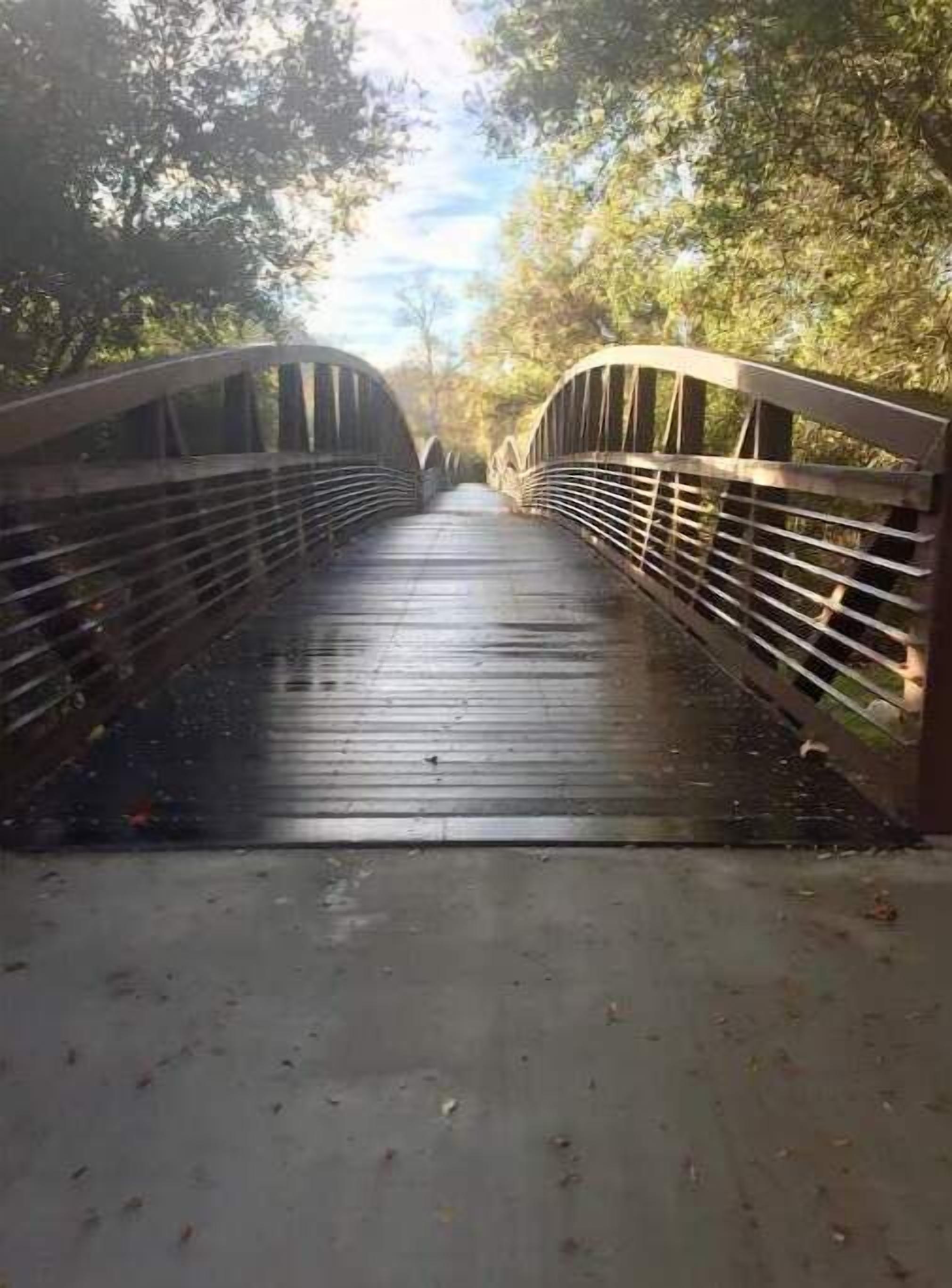 A wooden pedestrian bridge with metal railings, surrounded by trees.
