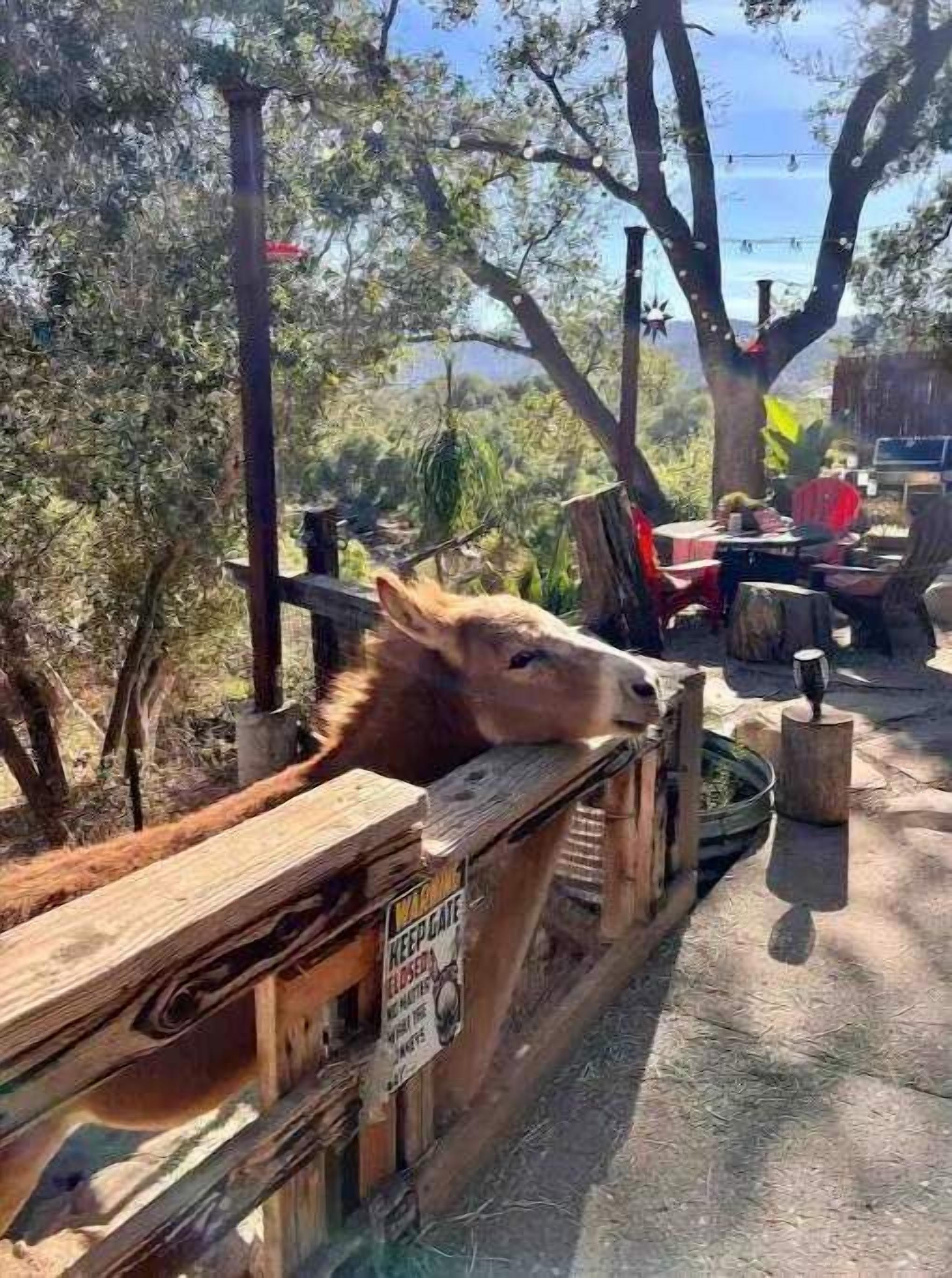 Udendørs spisemuligheder