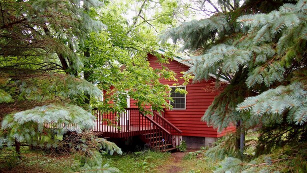 A red cabin surrounded by dense forest.