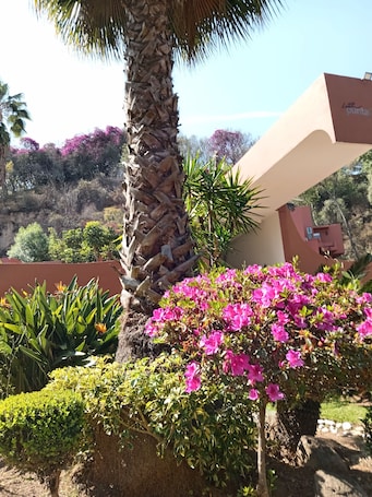 Exterior. HOTEL PUNTA GALERIA