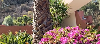 HOTEL PUNTA GALERIA