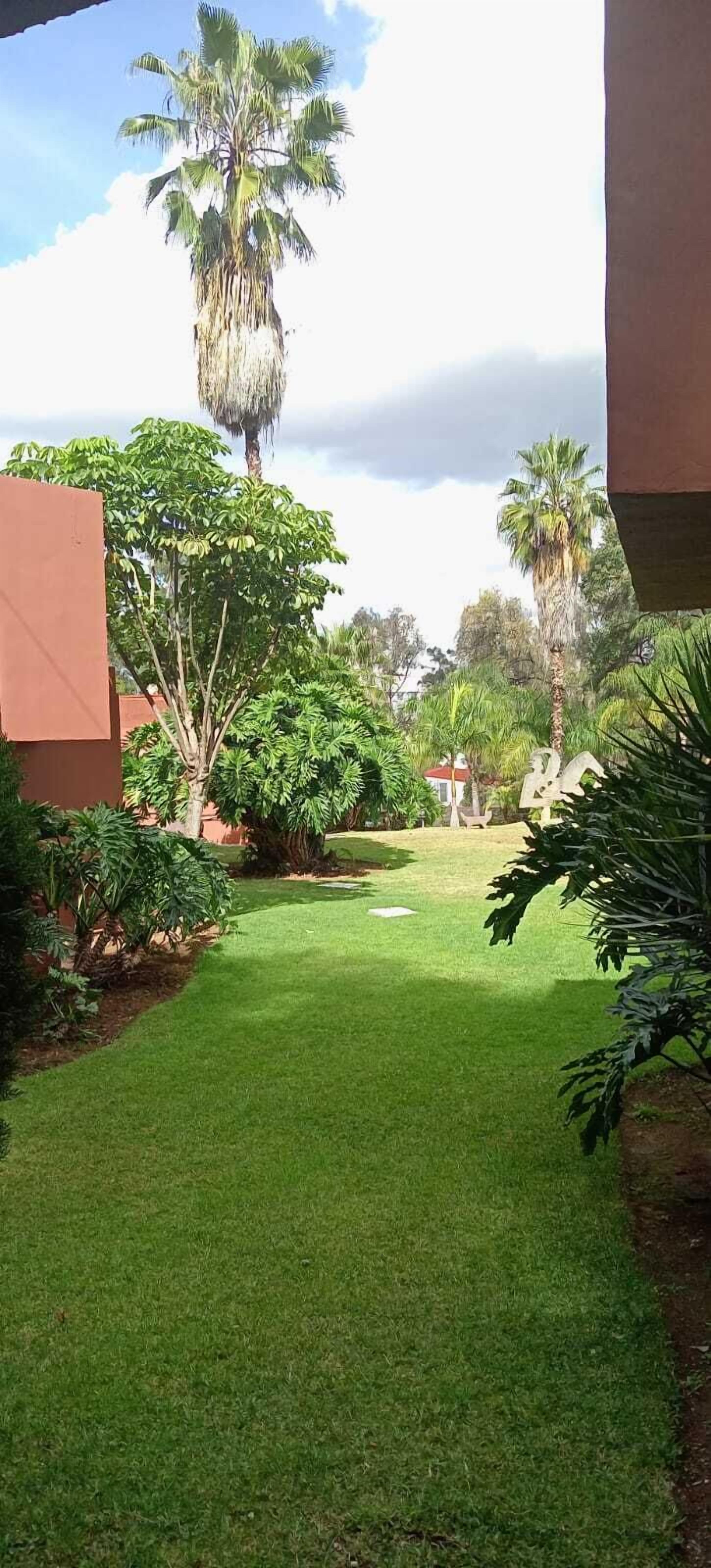 A well-maintained garden with a variety of tropical plants and a neatly trimmed lawn.