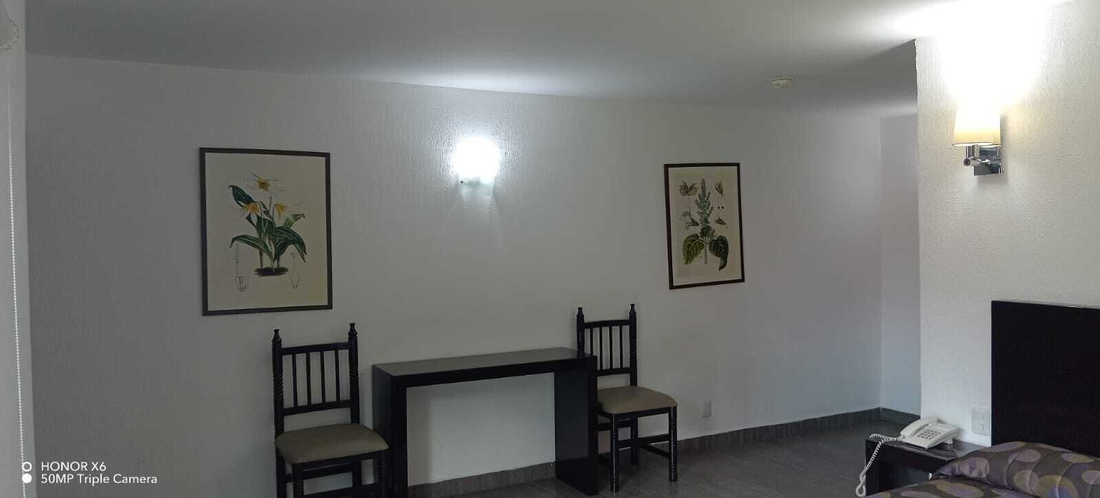Een hotelkamer met een bed, een bureau, twee stoelen en twee ingelijste botanische prints aan de muur.