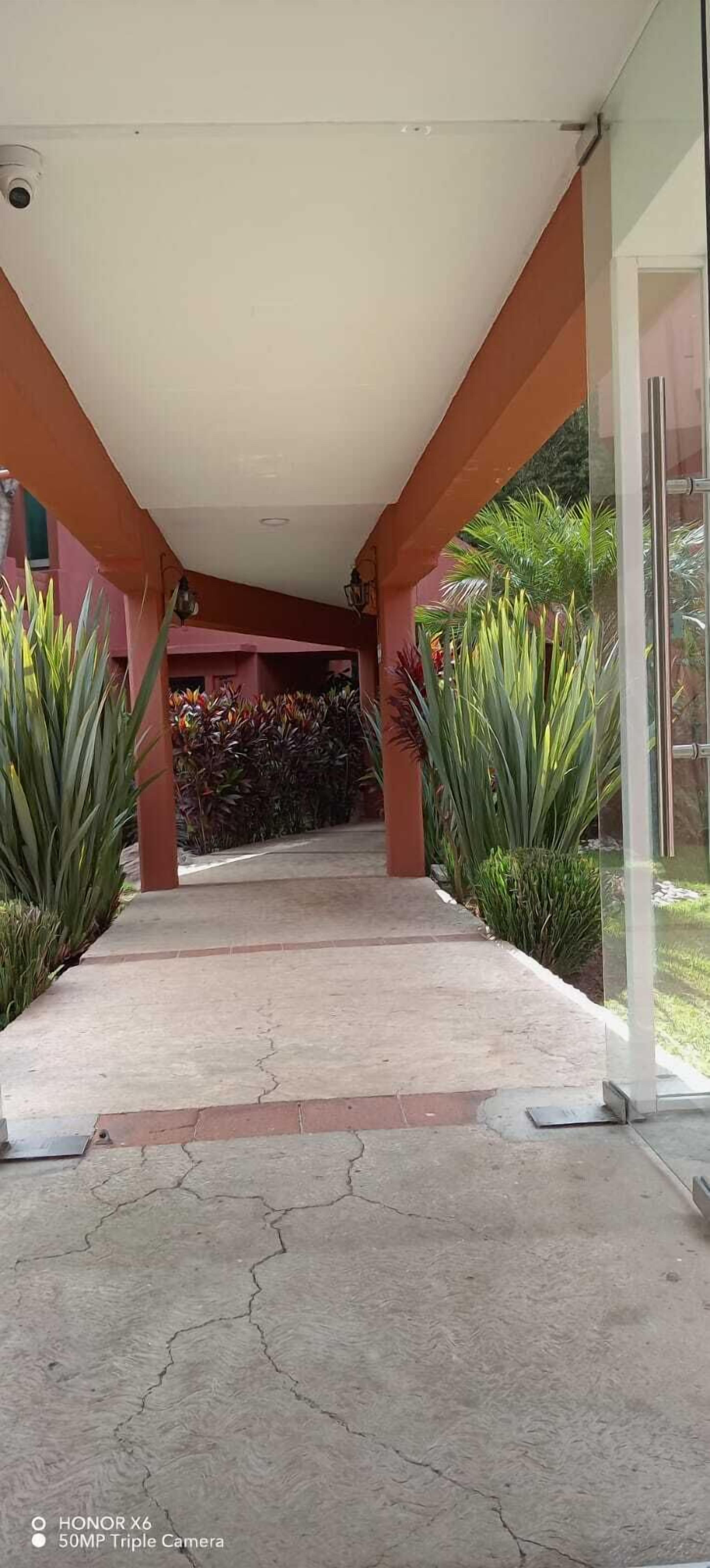 A covered walkway with a concrete floor, flanked by large potted plants and a glass door leading to a garden.