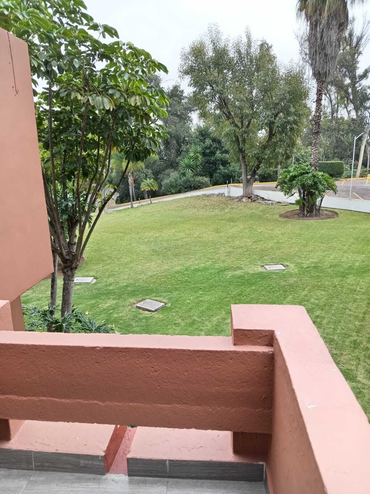 A view from a balcony overlooking a well-maintained lawn with a variety of trees and shrubs.