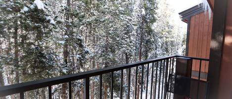 Condo, Multiple Beds, Pool Access, Mountain View (Cozy Winter Park Mountain Cabin) | Balcony view
