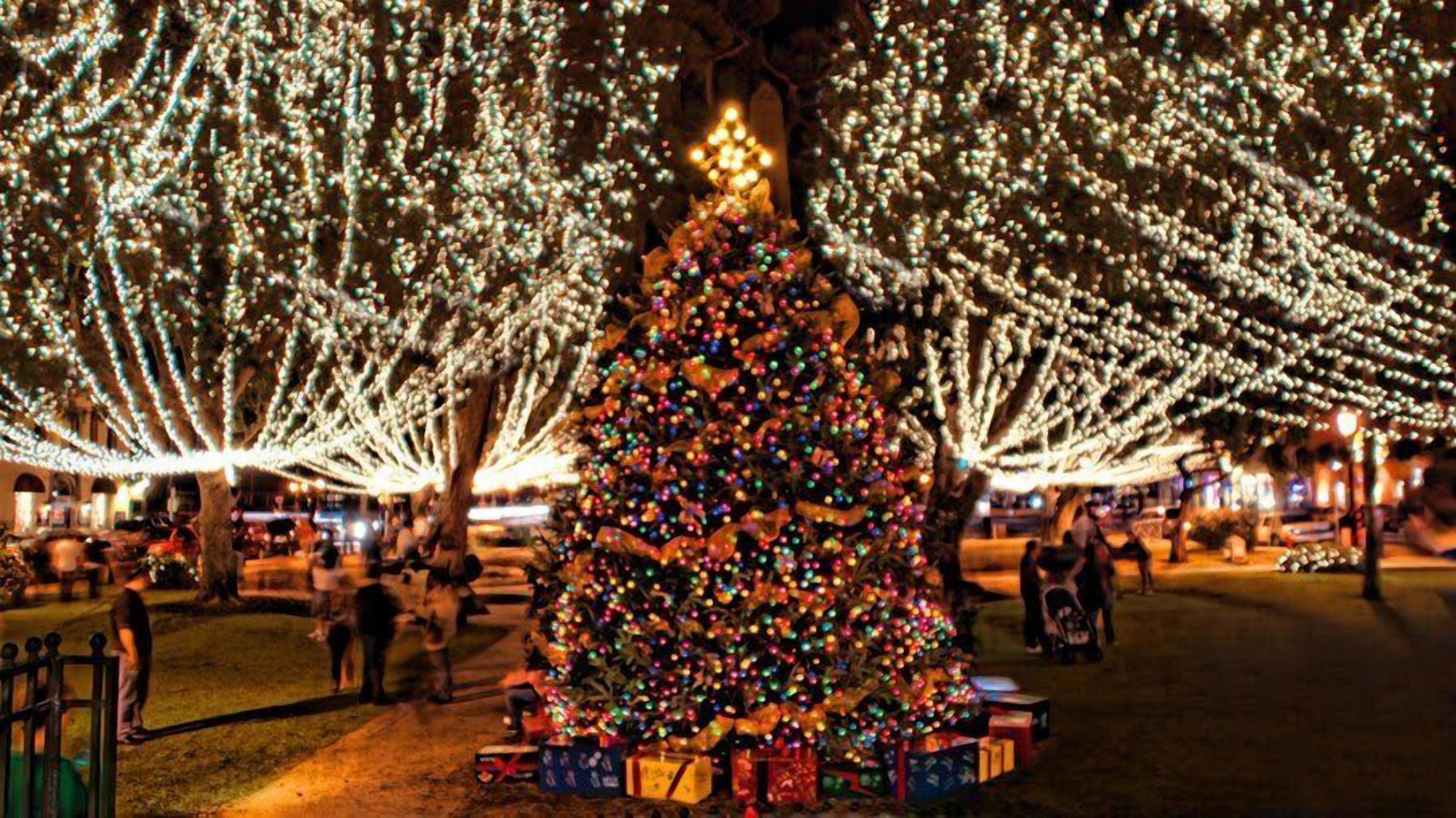 A large Christmas tree decorated with lights and ornaments, surrounded by gift boxes, in a public outdoor area.