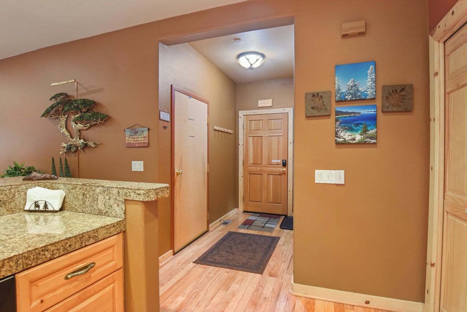 A hallway with a wooden door, a granite countertop, and a small plant.