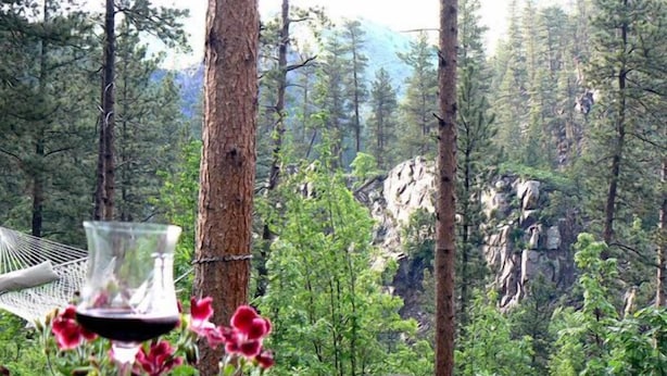 Un bicchiere di vino rosso e fiori rosa su un ripiano di legno, con vista su una foresta.