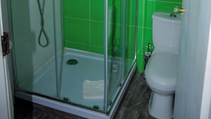Un baño con ducha de vidrio, inodoro y paredes con azulejos verdes.