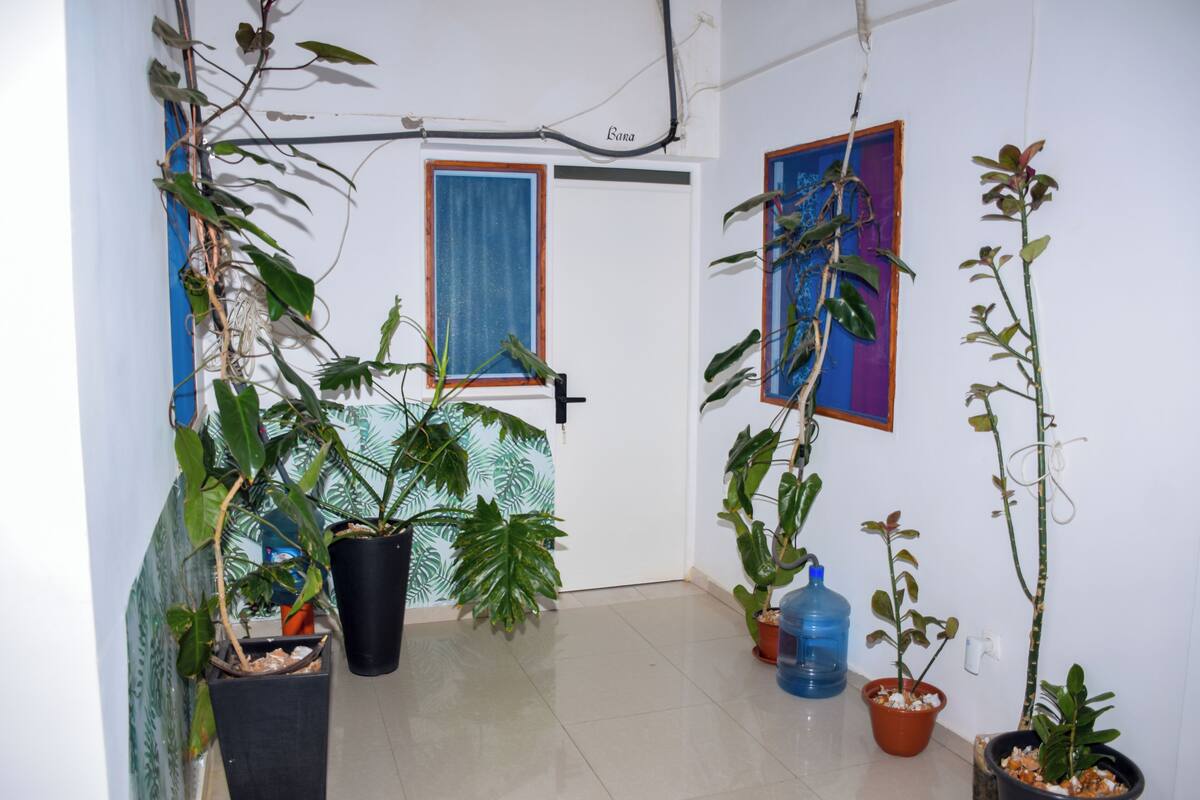 Basic Room, Non Smoking, Courtyard View | 2 bedrooms, individually decorated, desk, laptop workspace