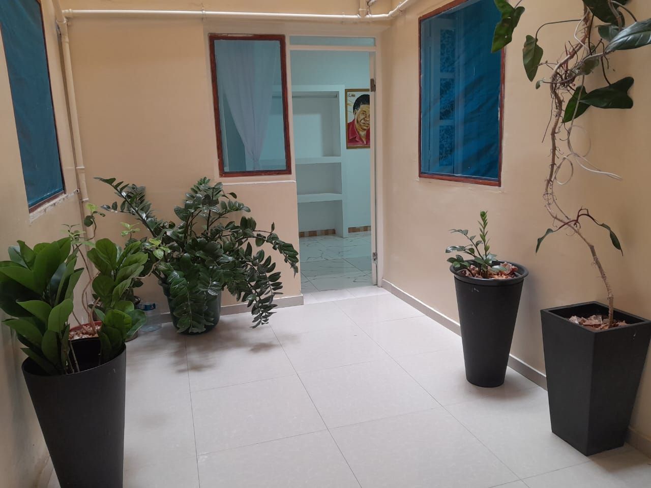 Basic Room, Non Smoking, Courtyard View | View from room