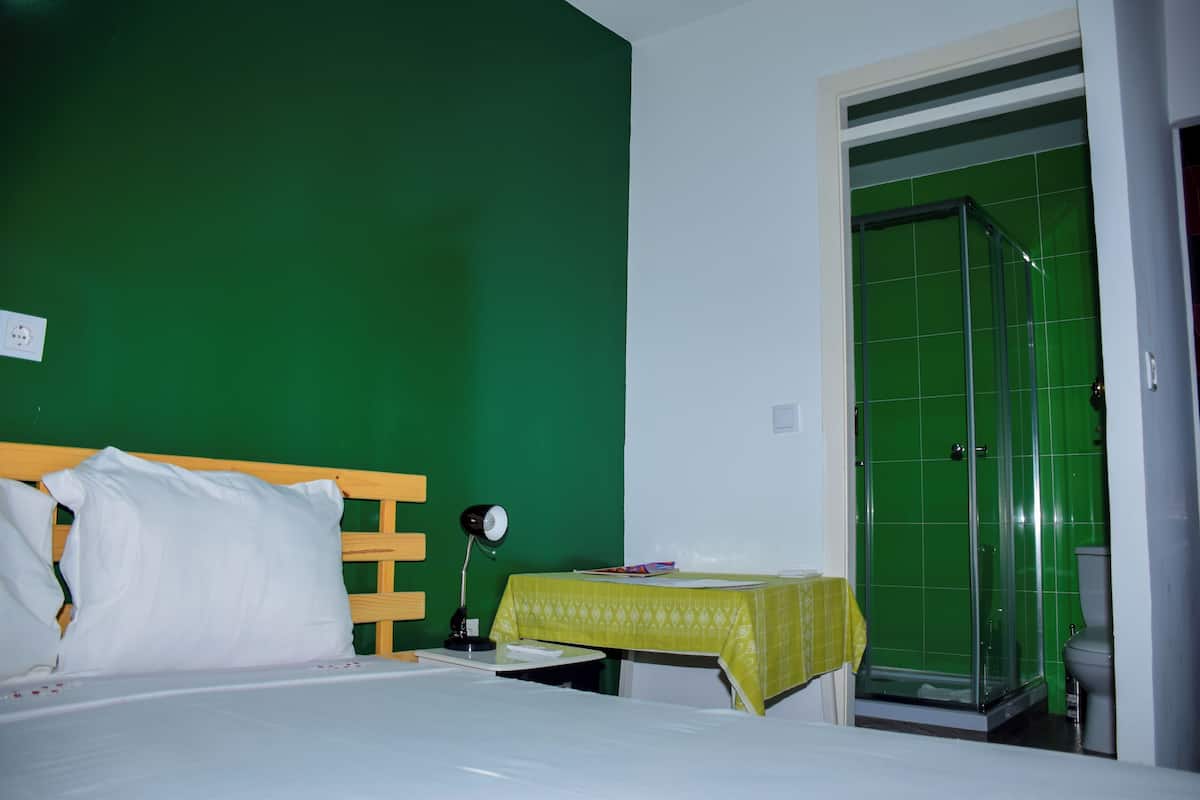 Habitación básica, 1 cama matrimonial, para no fumadores, vista a la ciudad | Escritorio, espacio para trabajar con laptop y wifi gratis