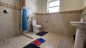 Shower, bidet, towels, soap