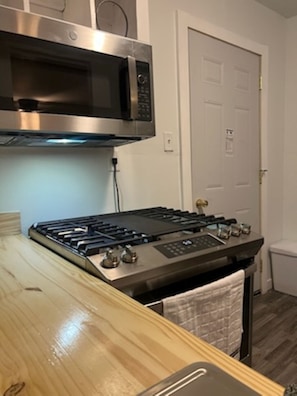 Fridge, microwave, oven, stovetop - tiny house backyard cabin getaway in Detroit (Detroit)