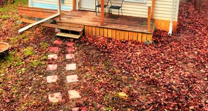 tiny house backyard cabin getaway in Detroit